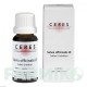 ЦЕРЕЗ (CERES) капли 20 мл - Гомеопатия CERES HEILMITTEL