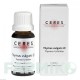 ЦЕРЕЗ (CERES) капли 20 мл - Гомеопатия CERES HEILMITTEL