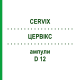 ЦЕРВІКС (CERVIX) D 12 ампули 10x1 мл - Гомеопатія WALA HEILMITTEL