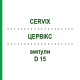 ЦЕРВІКС (CERVIX) D 15 ампули 10x1 мл - Гомеопатія WALA HEILMITTEL