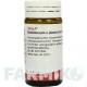 ХЕЛІДОНІУМ (CHELIDONIUM) D 6 глобули 20 г - Гомеопатія WALA HEILMITTEL