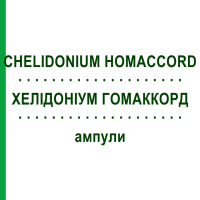 ХЕЛІДОНІУМ ГОМАККОРД (CHELIDONIUM HOMACCORD) ампули 100 шт - Гомеопатія BIOLOGISCHE HEILMITTEL HEEL