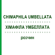 ХИМАФИЛА УМБЕЛЛАТА (CHIMAPHILA UMBELLATA) раствор 50 мл - Гомеопатия DHU