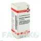 ХИНИНУМ СУЛЬФУРИКУМ (CHININUM SULFURICUM) D 6 глобули 10 г - Гомеопатия DHU
