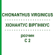 ХИОНАНТУС ВИРГИНИКУС (CHIONANTHUS VIRGINICUS) C 2 раствор 20 мл - Гомеопатия DHU