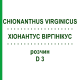 ХИОНАНТУС ВИРГИНИКУС (CHIONANTHUS VIRGINICUS) D 3 раствор 20 мл - Гомеопатия DHU