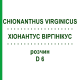 ХИОНАНТУС ВИРГИНИКУС (CHIONANTHUS VIRGINICUS) D 6 раствор 20 мл - Гомеопатия DHU