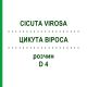 ЦИКУТА ВИРОСА (CICUTA VIROSA) D 4 раствор 20 мл - Гомеопатия DHU