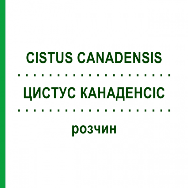 ЦИСТУС КАНАДЕНСИС (CISTUS CANADENSIS) раствор 20 мл - Гомеопатия DHU