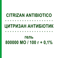 ЦИТРИЗАН АНТИБИОТИК (CITRIZAN ANTIBIOTICO) 800000 МЕ/100 г + 0,1% гель 50 г - Активные вещества IDI FARMACEUTICI