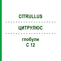 ЦИТРУЛЮС (CITRULLUS) C 12 глобули 10 г - Гомеопатия SPAGYRA