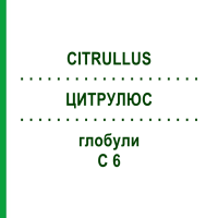 ЦИТРУЛЮС (CITRULLUS) C 6 глобули 10 г - Гомеопатія SPAGYRA