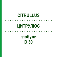 ЦИТРУЛЮС (CITRULLUS) D 30 глобули 10 г - Гомеопатія SPAGYRA