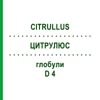ЦИТРУЛЮС (CITRULLUS) D 4 глобули 10 г - Гомеопатия SPAGYRA