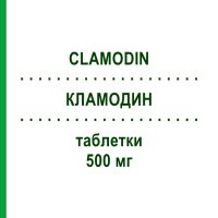 КЛАМОДИН (CLAMODIN) 500 мг таблетки 14 шт - Кларитроміцин SO.SE.PHARM