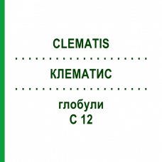 КЛЕМАТИС (CLEMATIS) C 12 глобули 1,5 г - Гомеопатія GUDJONS