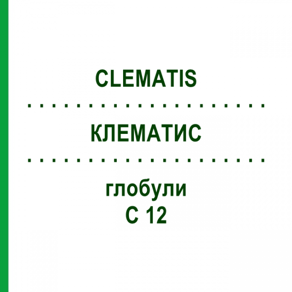 КЛЕМАТИС (CLEMATIS) C 12 глобули 1,5 г - Гомеопатія GUDJONS