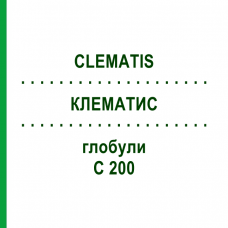 КЛЕМАТИС (CLEMATIS) C 200 глобули 10 г - Гомеопатия DHU