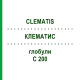 КЛЕМАТИС (CLEMATIS) C 200 глобули 1,5 г - Гомеопатія GUDJONS
