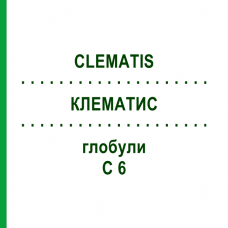КЛЕМАТИС (CLEMATIS) C 6 глобули 1,5 г - Гомеопатія GUDJONS