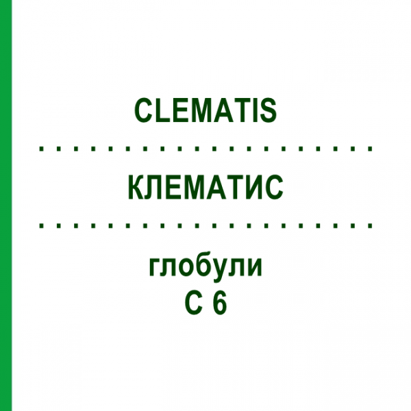 КЛЕМАТИС (CLEMATIS) C 6 глобули 1,5 г - Гомеопатія GUDJONS