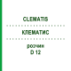 КЛЕМАТИС (CLEMATIS) D 12 раствор 50 мл - Гомеопатия DHU