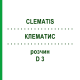 КЛЕМАТИС (CLEMATIS) D 3 раствор 20 мл - Гомеопатия DHU