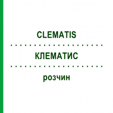 КЛЕМАТИС (CLEMATIS) раствор 20 мл - Гомеопатия DHU