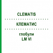 КЛЕМАТИС (CLEMATIS) LM VI глобули 5 г - Гомеопатия DHU