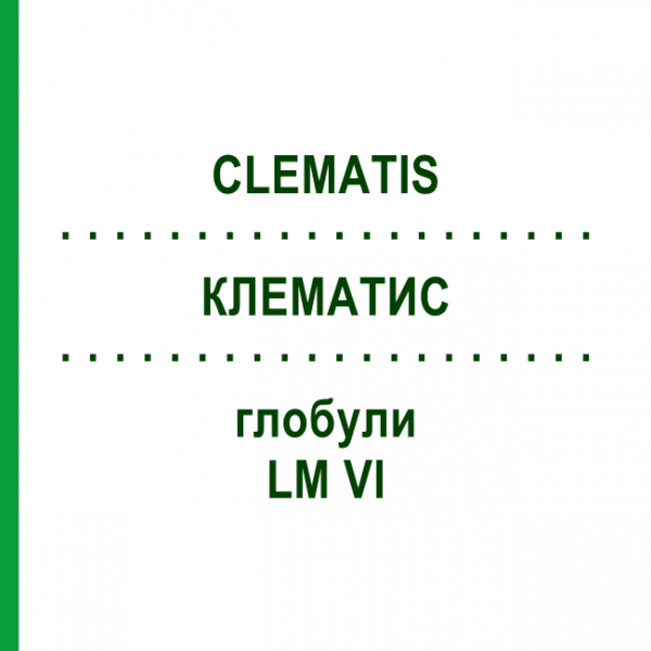 КЛЕМАТИС (CLEMATIS) LM VI глобули 5 г - Гомеопатия DHU