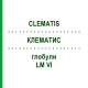КЛЕМАТИС (CLEMATIS) LM VI глобули 5 г - Гомеопатия DHU