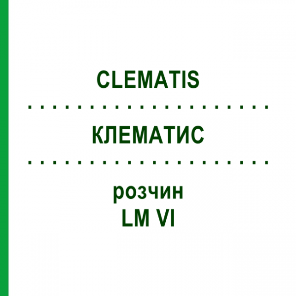 КЛЕМАТИС (CLEMATIS) LM VI раствор 10 мл - Гомеопатия DHU
