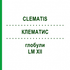 КЛЕМАТИС (CLEMATIS) LM XII глобули 5 г - Гомеопатия DHU