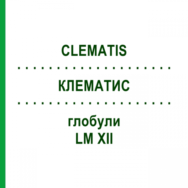 КЛЕМАТИС (CLEMATIS) LM XII глобули 5 г - Гомеопатия DHU