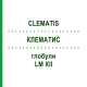 КЛЕМАТИС (CLEMATIS) LM XII глобули 5 г - Гомеопатия DHU