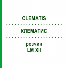 КЛЕМАТИС (CLEMATIS) LM XII раствор 10 мл - Гомеопатия DHU