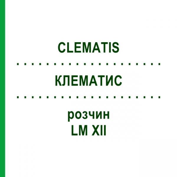 КЛЕМАТИС (CLEMATIS) LM XII раствор 10 мл - Гомеопатия DHU
