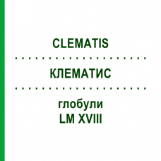 КЛЕМАТИС (CLEMATIS) LM XVIII глобули 5 г - Гомеопатия DHU