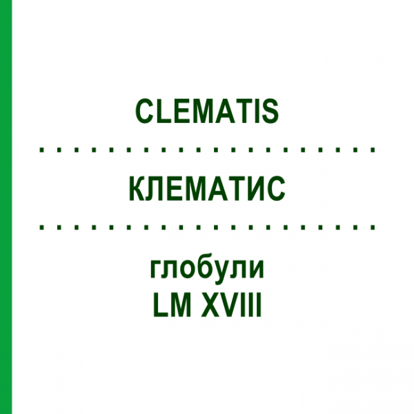 КЛЕМАТИС (CLEMATIS) LM XVIII глобули 5 г - Гомеопатия DHU