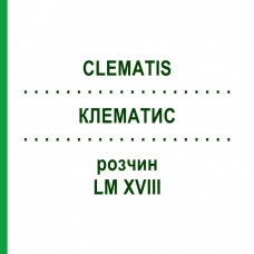 КЛЕМАТИС (CLEMATIS) LM XVIII раствор 10 мл - Гомеопатия DHU