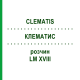 КЛЕМАТИС (CLEMATIS) LM XVIII раствор 10 мл - Гомеопатия DHU