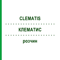 КЛЕМАТИС (CLEMATIS) розчин 50 мл - Гомеопатія NESTMANN PHARMA