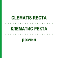 КЛЕМАТИС РЕКТА (CLEMATIS RECTA) розчин 50 мл - Гомеопатія HANOSAN