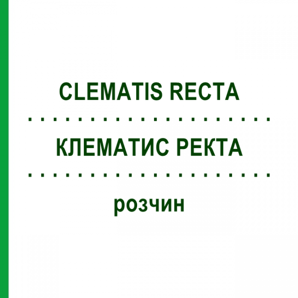 КЛЕМАТИС РЕКТА (CLEMATIS RECTA) розчин 50 мл - Гомеопатія HANOSAN