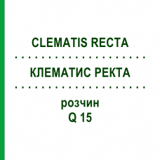 КЛЕМАТИС РЕКТА (CLEMATIS RECTA) Q 15 розчин 15 мл - Гомеопатія GUDJONS