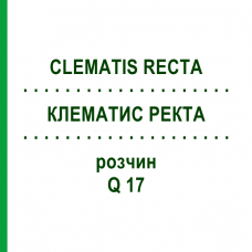 КЛЕМАТИС РЕКТА (CLEMATIS RECTA) Q 17 розчин 15 мл - Гомеопатія GUDJONS