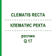 КЛЕМАТИС РЕКТА (CLEMATIS RECTA) Q 17 розчин 15 мл - Гомеопатія GUDJONS