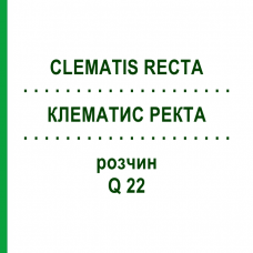 КЛЕМАТИС РЕКТА (CLEMATIS RECTA) Q 22 розчин 15 мл - Гомеопатія GUDJONS