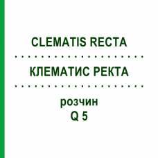 КЛЕМАТИС РЕКТА (CLEMATIS RECTA) Q 5 розчин 15 мл - Гомеопатія GUDJONS
