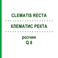 КЛЕМАТИС РЕКТА (CLEMATIS RECTA) Q 8 розчин 15 мл - Гомеопатія GUDJONS